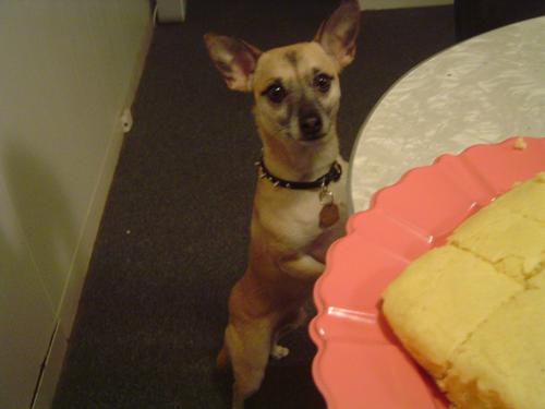 ElliotCornBread